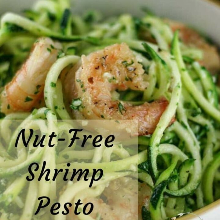 Nut-Free Shrimp Pesto Zoodles